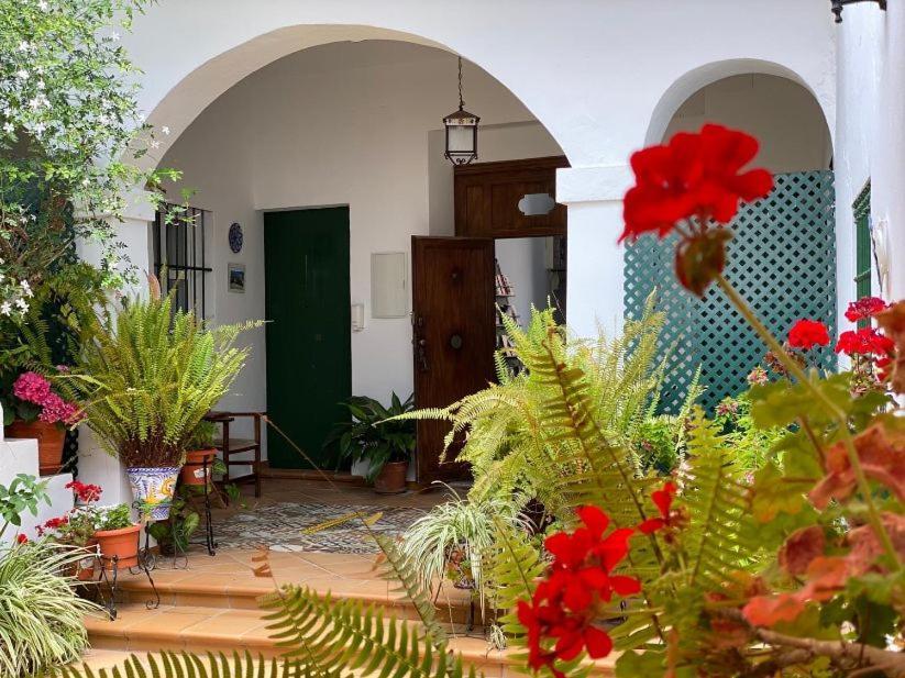 Apartamentos El Arco Conil De La Frontera Buitenkant foto