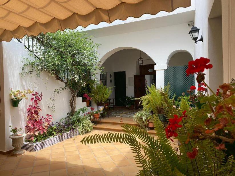 Apartamentos El Arco Conil De La Frontera Buitenkant foto
