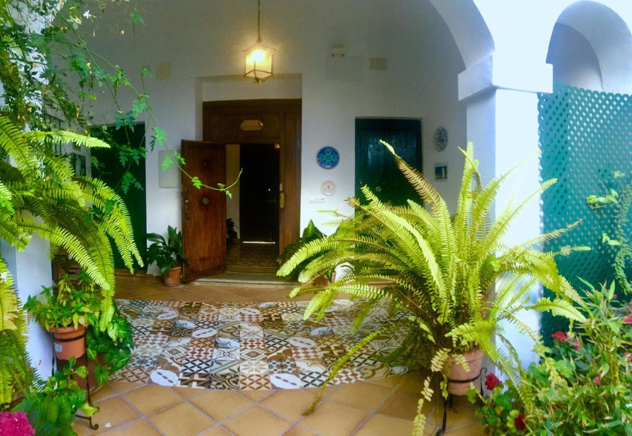 Apartamentos El Arco Conil De La Frontera Buitenkant foto