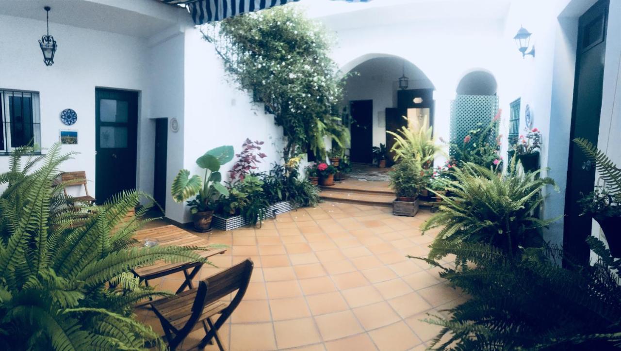 Apartamentos El Arco Conil De La Frontera Buitenkant foto